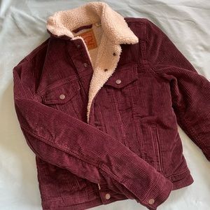 Levi’s corduroy Sherpa lined trucker jacket, new, burgundy color, size M